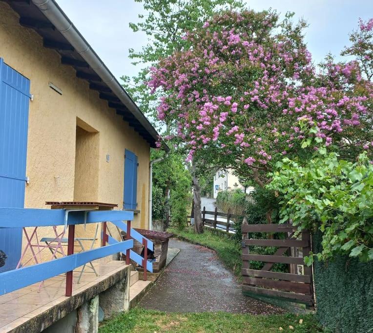 Maison Au Pied De La Montagne Aspet Dış mekan fotoğraf