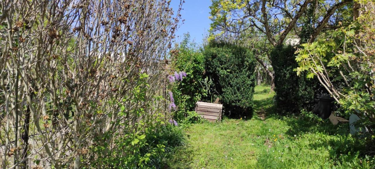 Maison Au Pied De La Montagne Aspet Dış mekan fotoğraf