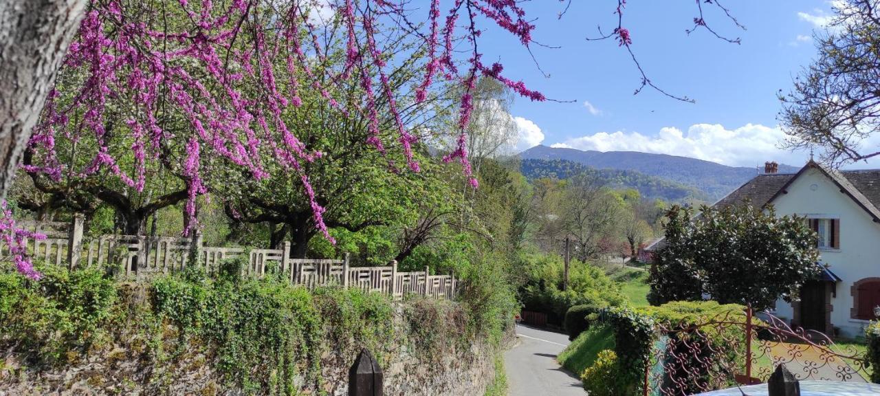 Maison Au Pied De La Montagne Aspet Dış mekan fotoğraf