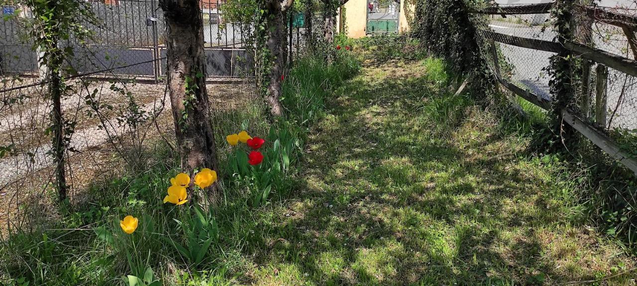 Maison Au Pied De La Montagne Aspet Dış mekan fotoğraf
